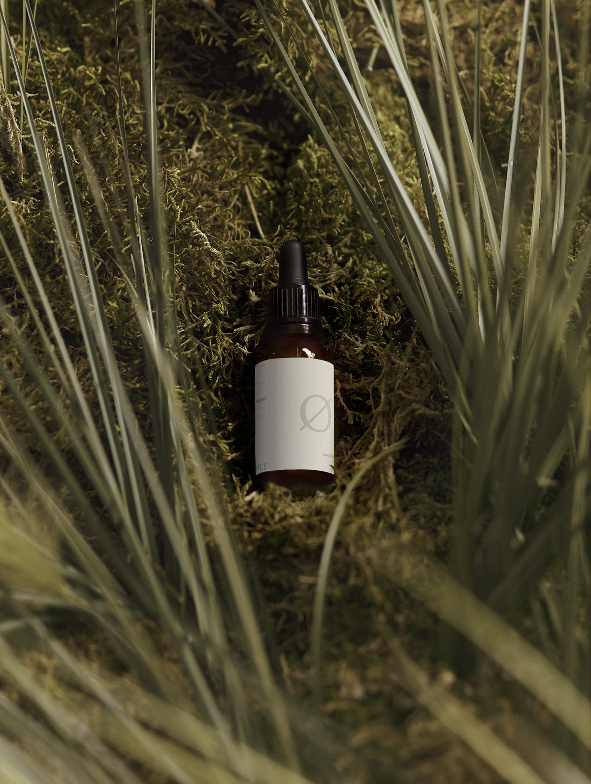 Beard Soft Oil