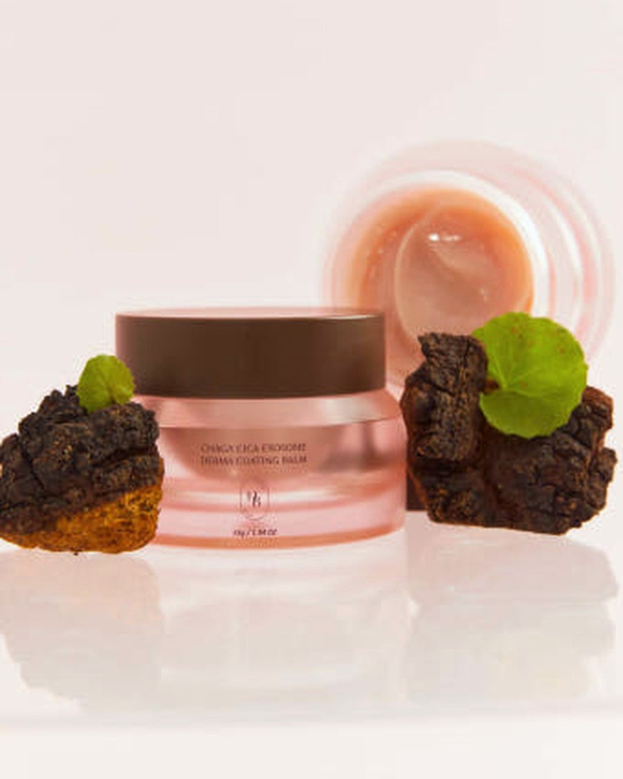 HEVEBLUE Chaga Cica Exosome Derma Coating Balm 55g - tonal render